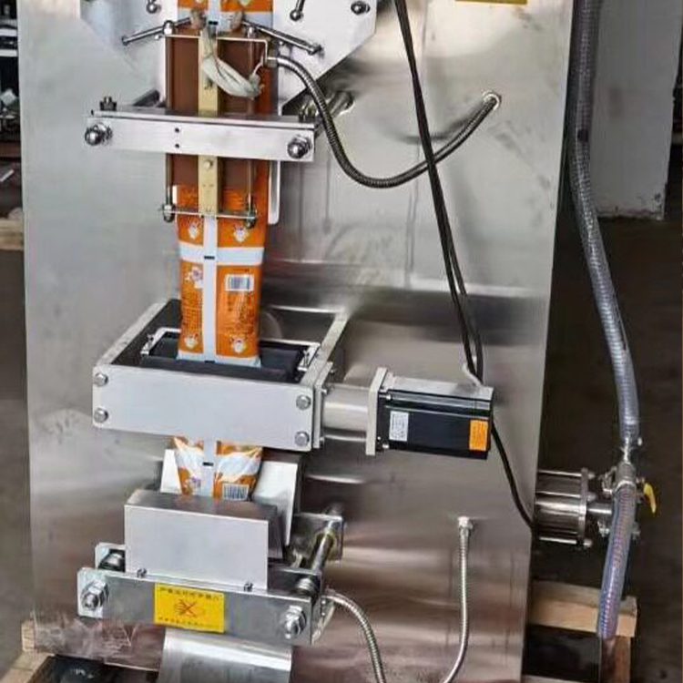 Bag Water Filling Machine Case (4)